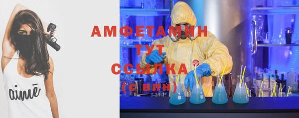 стафф Абаза