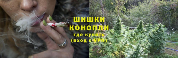 стафф Абаза