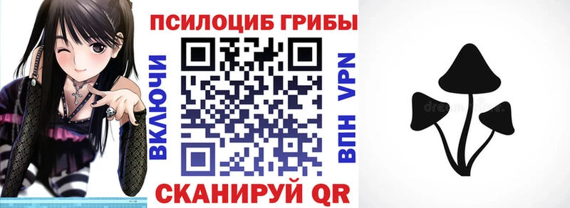 наркошоп  Чегем  Галлюциногенные грибы MAGIC MUSHROOMS 